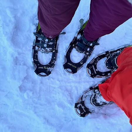 Lakeside Log Edith Feriehus Rovaniemi