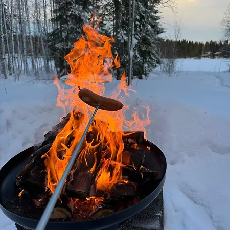 Feriehus Lakeside Log Edith