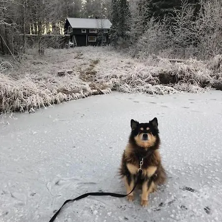 Lakeside Log Edith Feriehus