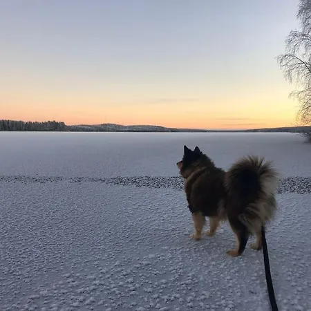 Feriehus Lakeside Log Edith *