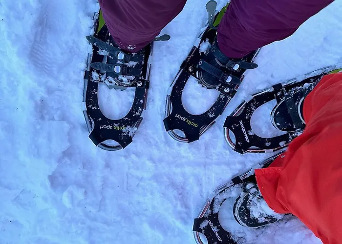 Lakeside Log Edith 別荘 ロヴァニエミ