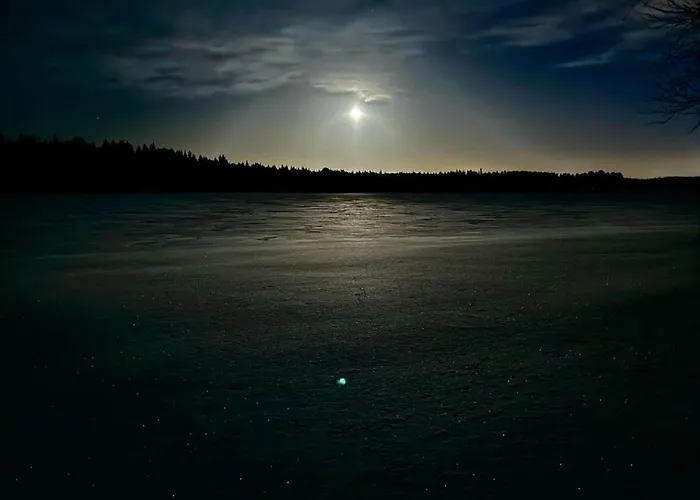 Lakeside Log Edith 別荘 *