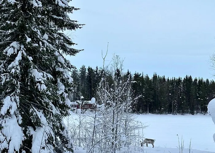 Lakeside Log Edith 別荘 *