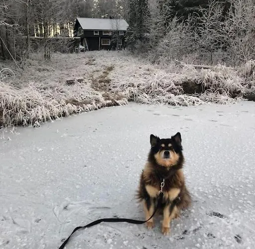 Lakeside Log Edith 別荘